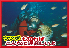  ＴＶに出演　元祖　ウツボおじさんのダイビングショップです。