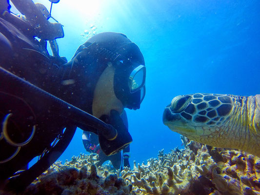 TAKU DIVE 石垣島のショップ写真6