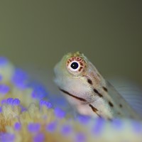 ショップのイメージ画像4