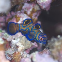 ショップのイメージ画像5