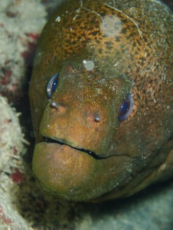 ダイブワンロードのショップ写真8