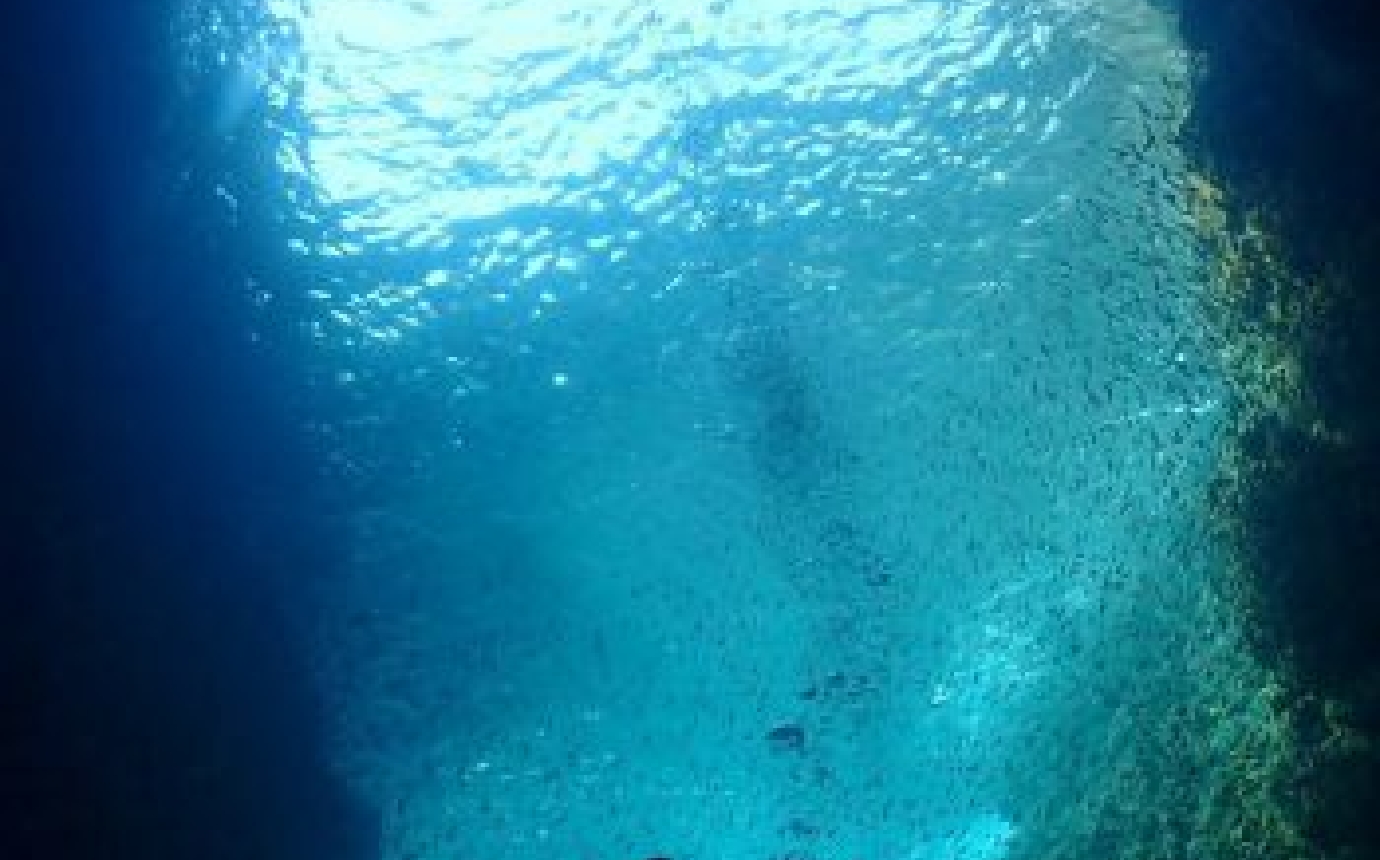 熱海マリンスポーツクラブのカバー画像3