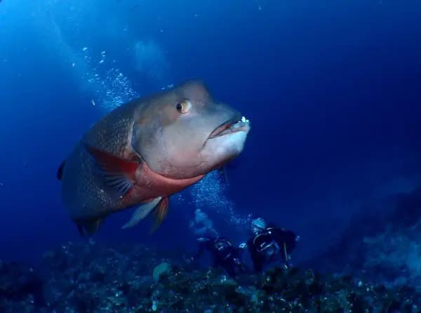 ショップのイメージ画像5