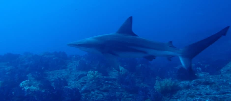 DIVING GUIDE YAMAGUCHIのショップ写真8