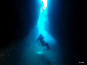 オハナウィズのショップ写真7