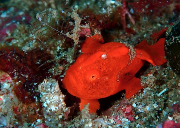 DivingShop SeaZoo miuraのショップ写真10