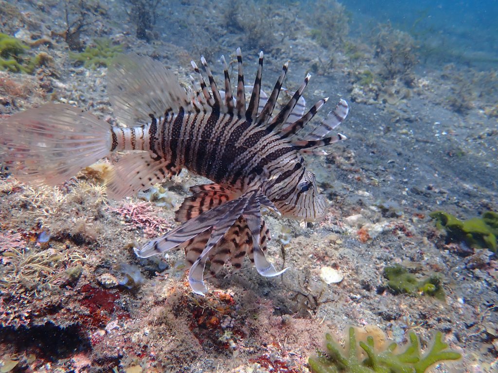 ショップのイメージ画像4