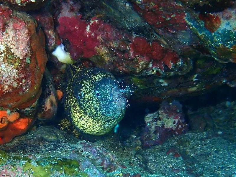 南紀シーマンズクラブのショップ写真12