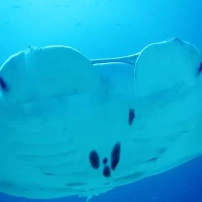 ショップのイメージ画像5