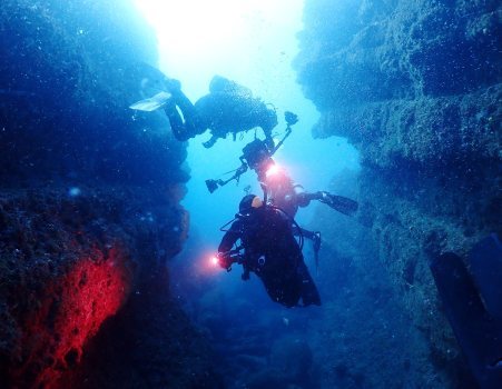 Nice Diveのカバー画像2