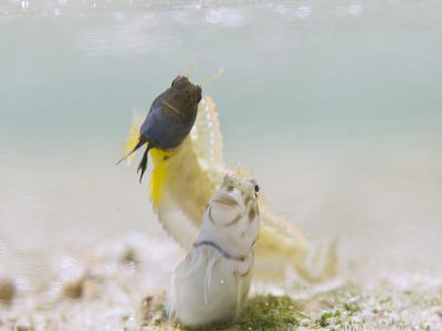 ショップのイメージ画像5