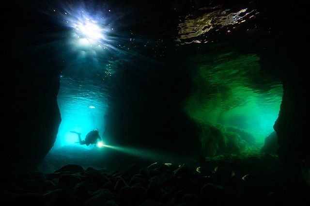ＡＲＫ　ＤｉｖｉｎｇＳｈｏｐのショップ写真8