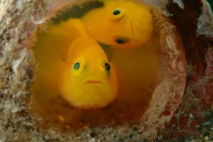 ショップのイメージ画像5