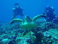 DIVECOLLEGE & SHOP エススタイルのショップ写真6