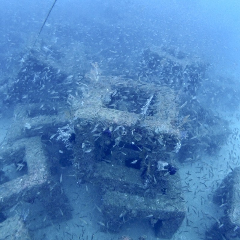 ダイビングショップ潜水屋Ti-Daのカバー画像3