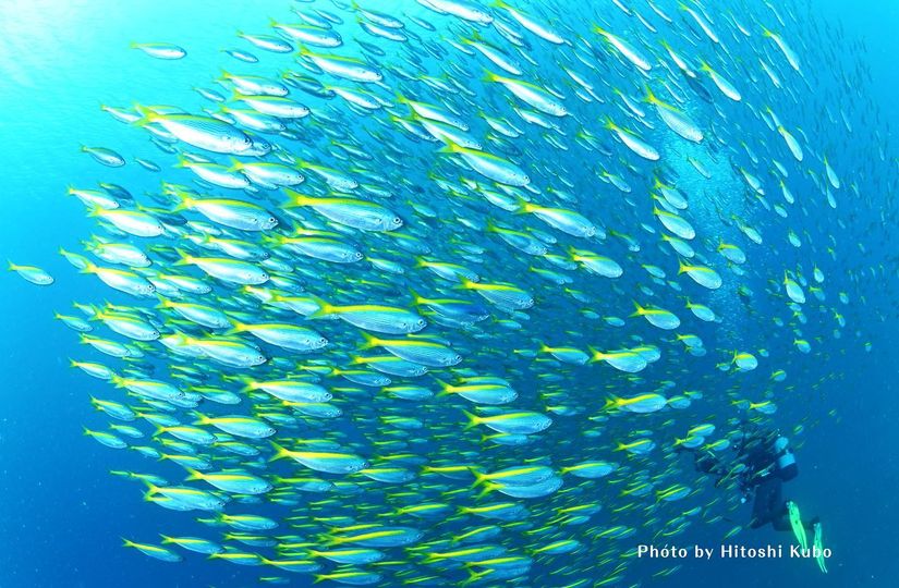 ブルーアース２１　都立大のカバー画像1