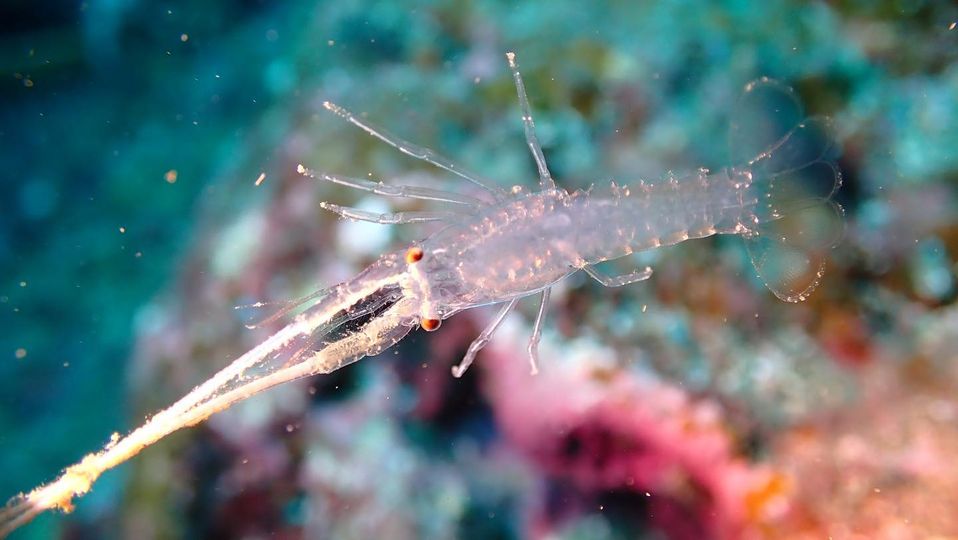 aquaQUESTのカバー画像3