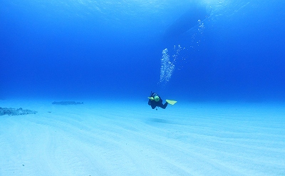 オーシャントライブのカバー画像3