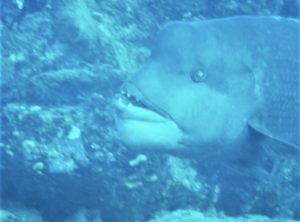 ブランニューシーのショップ写真8