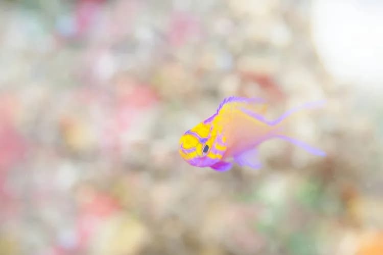 ナミディアのショップ写真8