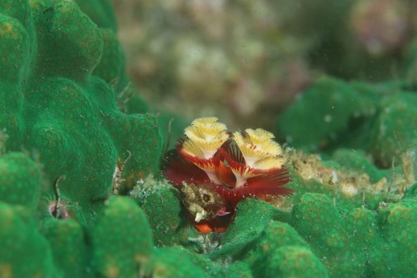 ダイブジェイのショップ写真7