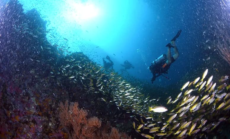 DiveAward津田沼駅前本店のショップ写真8