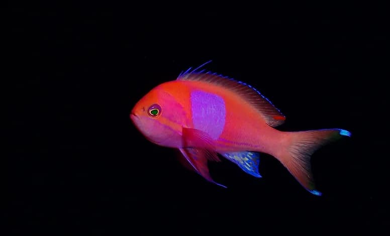 DiveAward津田沼駅前本店のショップ写真7