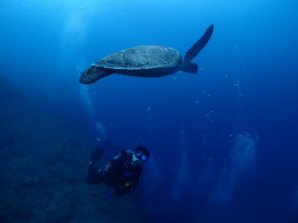 Ｓｔｅｐ海のショップ写真6