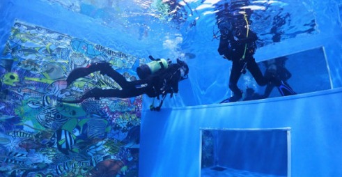 関西最大級の大型ミラー付店内プール完備