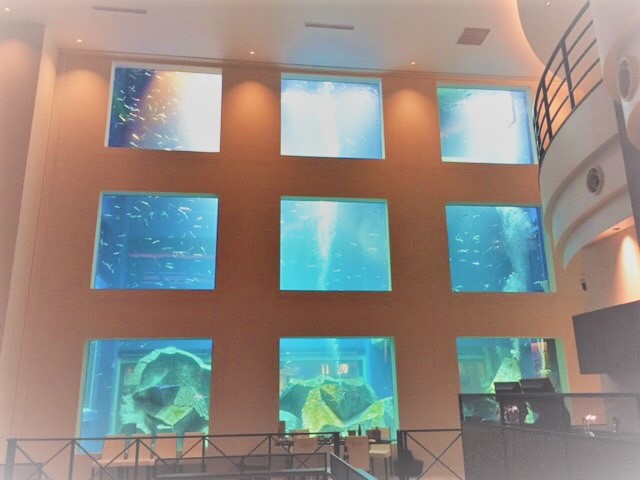 千葉県の商業施設内にある超巨大水槽でカラフルな魚やウミガメと泳げます