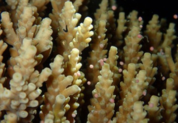 ショップのイメージ画像4