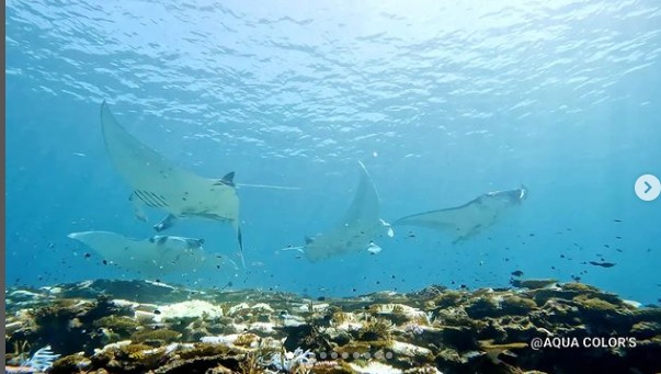 ショップのイメージ画像4