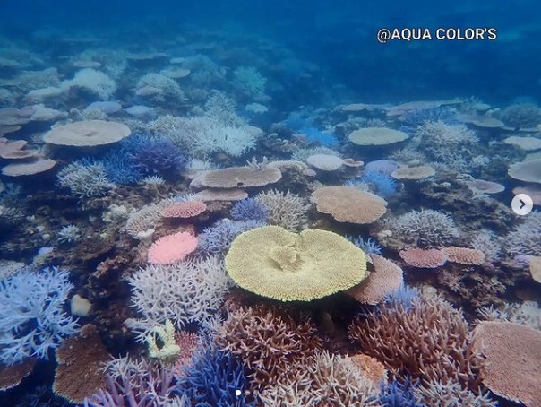 アクアカラーズのショップ写真6