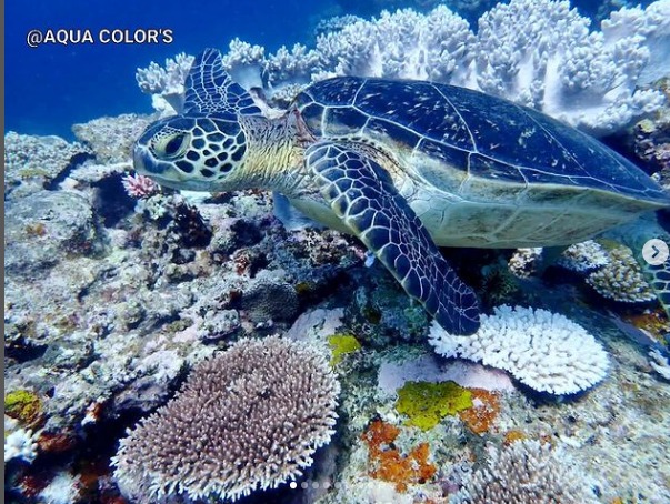 アクアカラーズのショップ写真7