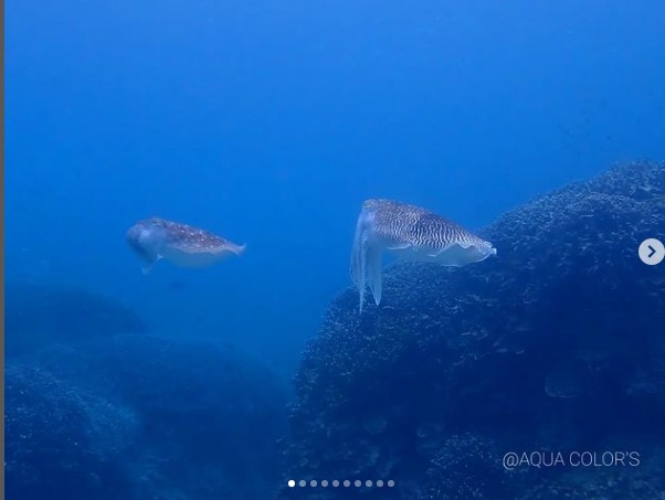 アクアカラーズのショップ写真9