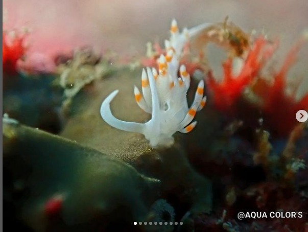 アクアカラーズのショップ写真8