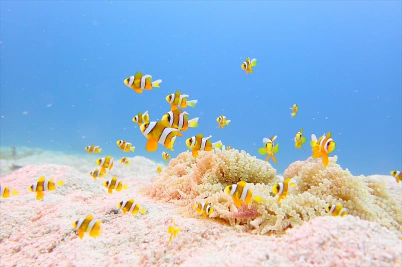 メグループのショップ写真6