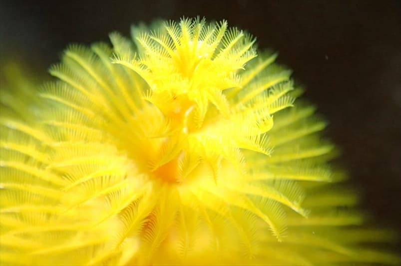 ショップのイメージ画像5