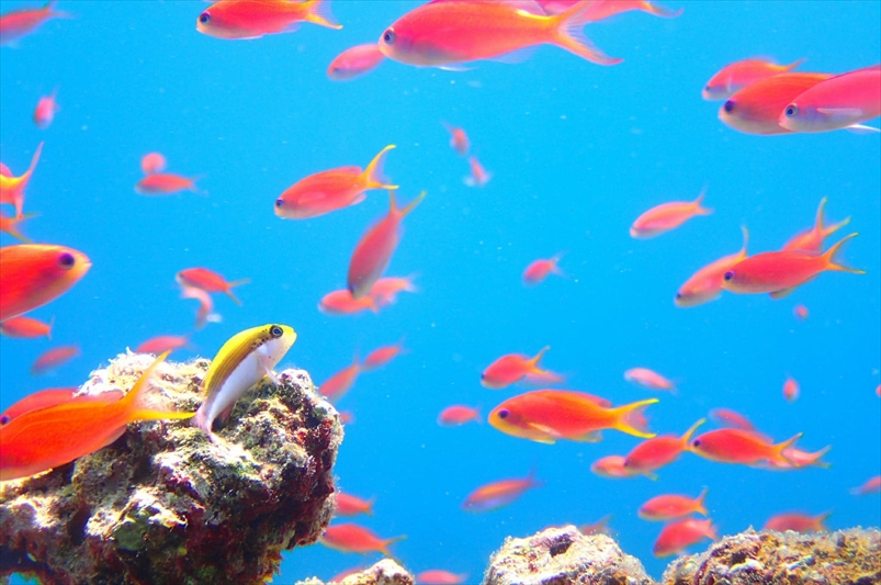 メグループのショップ写真7