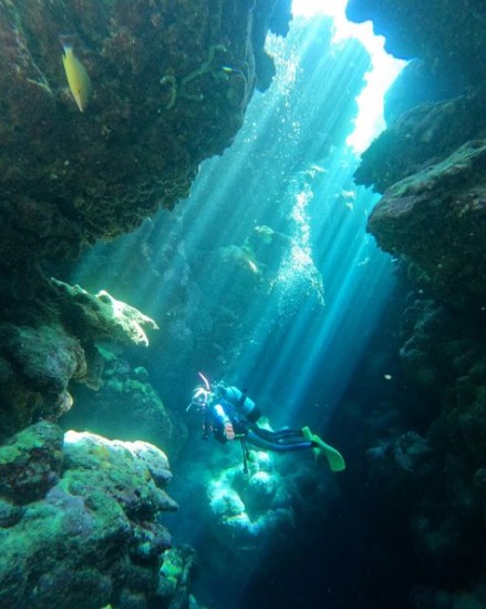 ダイビングジーフリーのショップ写真11