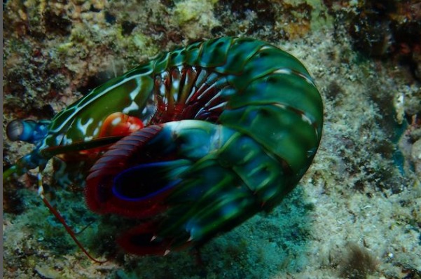 ショップのイメージ画像4