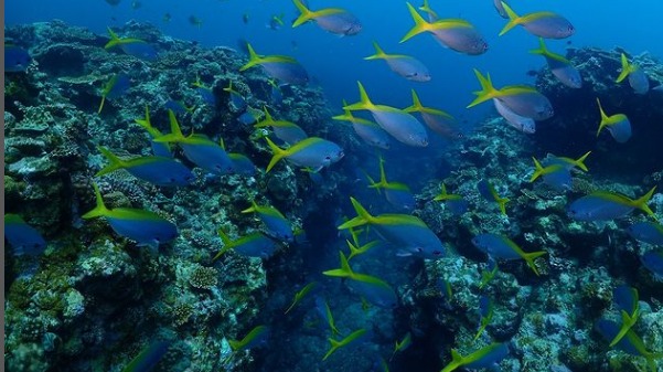 ショップのイメージ画像5