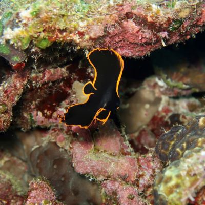 ショップのイメージ画像4