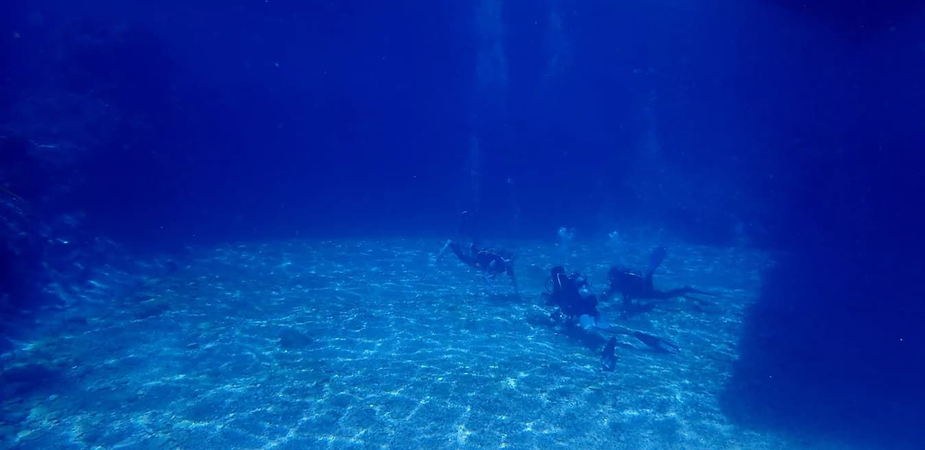 パパクラブのカバー画像2