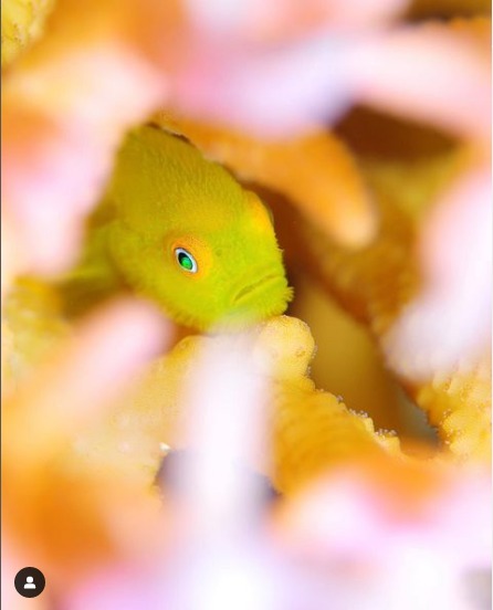 ダイブイン浜のショップ写真8