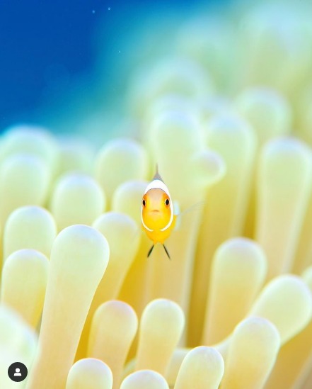 ダイブイン浜のショップ写真7