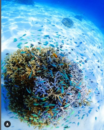 ショップのイメージ画像4