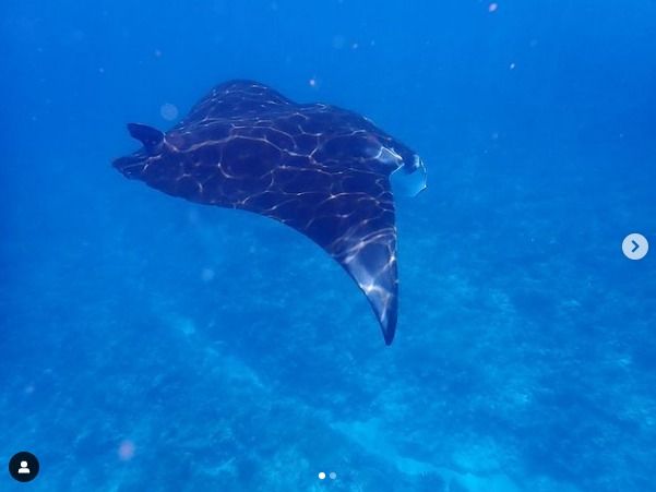 ダイブイン浜のカバー画像2