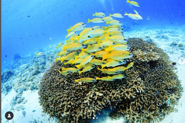 ダイブイン浜のショップ写真6