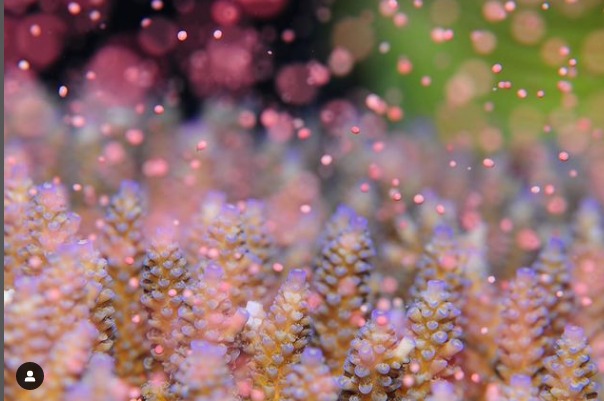 ショップのイメージ画像5